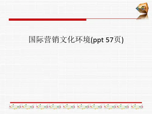 国际营销文化环境