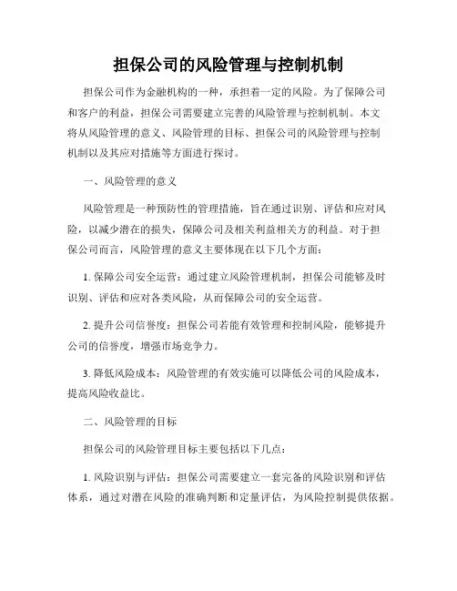 担保公司的风险管理与控制机制