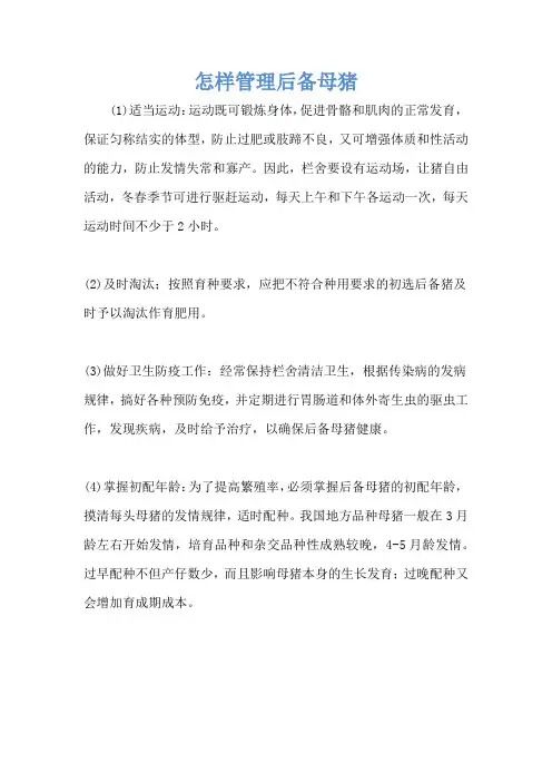 怎样管理后备母猪