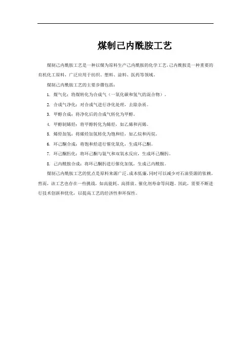 煤制己内酰胺工艺