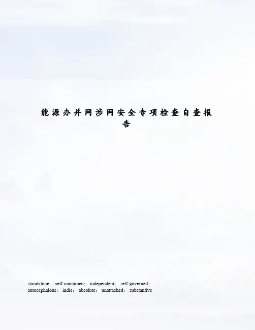 能源办并网涉网安全专项检查自查报告