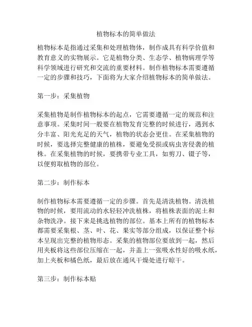 植物标本的简单做法