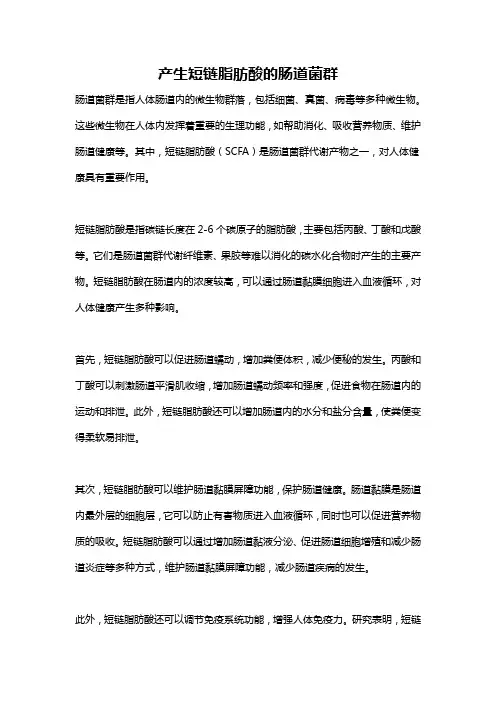 产生短链脂肪酸的肠道菌群
