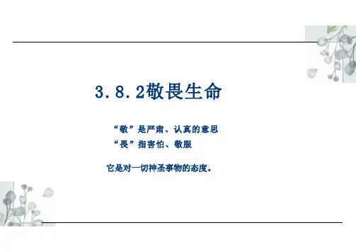 〖道法〗敬畏生命+课件-2024-2025学年统编版道德与法治七年级上册
