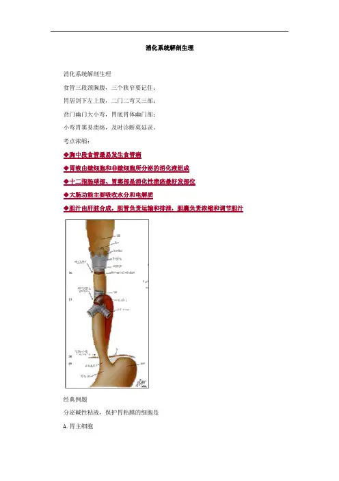 消化系统解剖生理考点总结