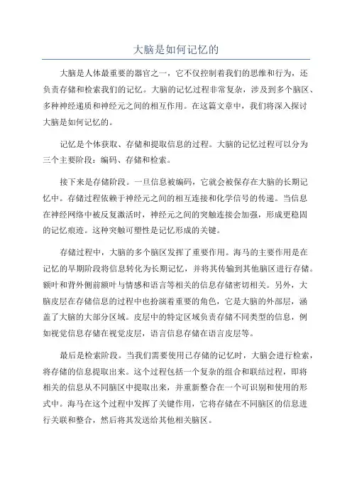 大脑是如何记忆的
