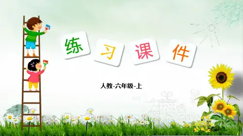 《百分数和分数、小数的互化》PPT优质文档(共16张PPT)