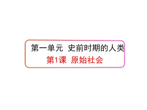 第1课 原始社会  课件 (共27张PPT)