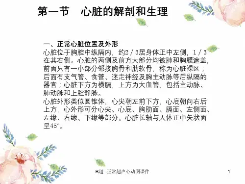 B超-正常超声心动图课件