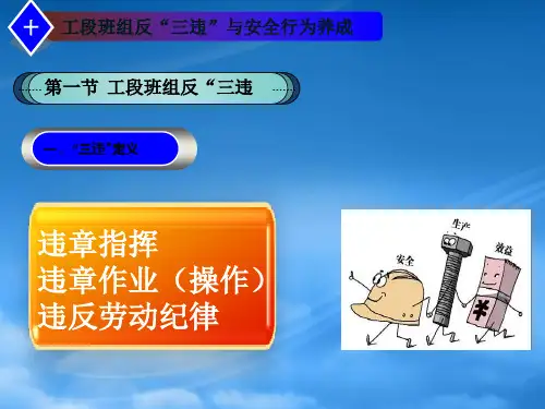 企业反三违安全生产培训教材