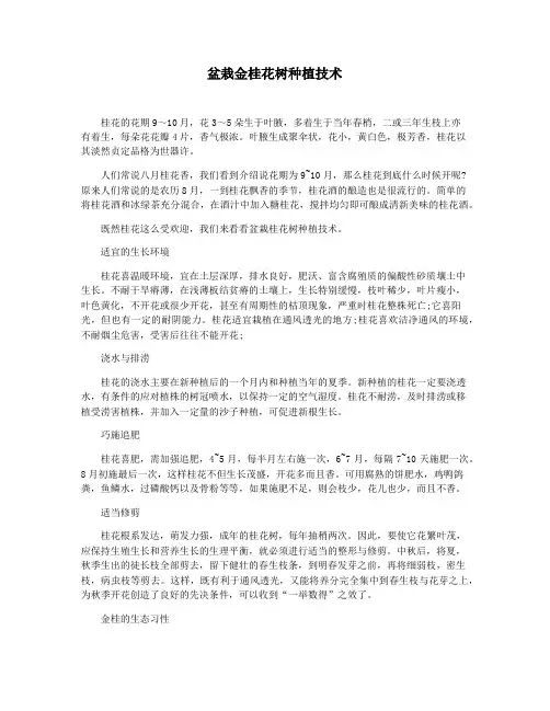 盆栽金桂花树种植技术