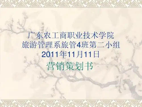 营销策划书PPT