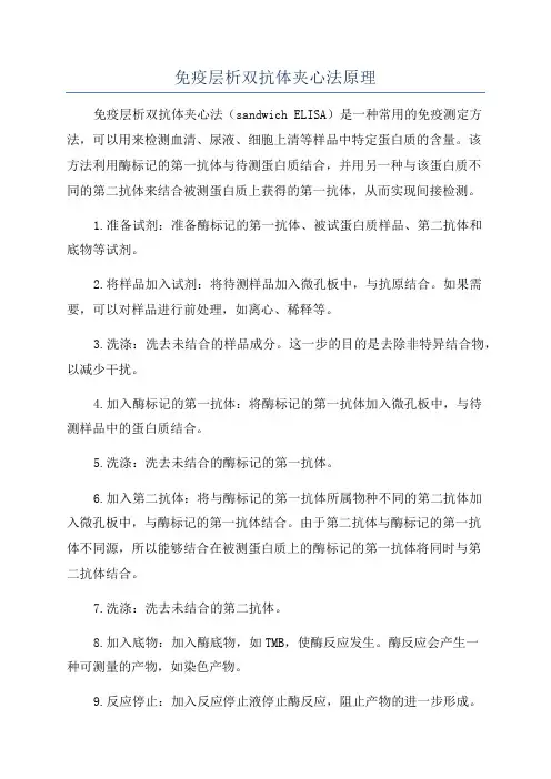 免疫层析双抗体夹心法原理
