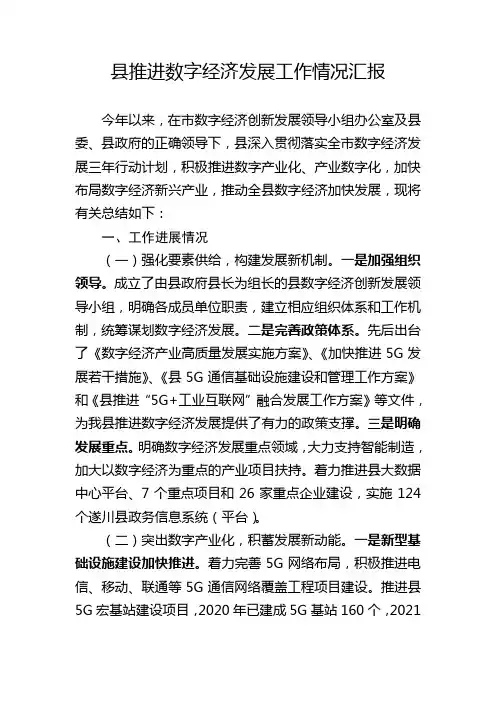 县推进数字经济发展工作情况汇报