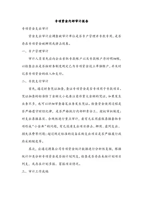专项资金内部审计报告
