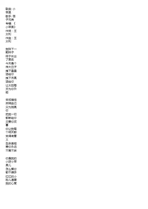 筷子兄弟《小苹果》歌词