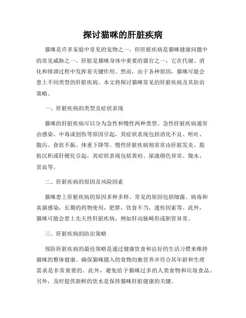探讨猫咪的肝脏疾病