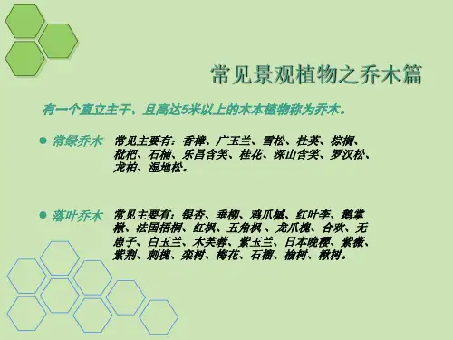 小区景观设计常用植物湖南地区PPT课件
