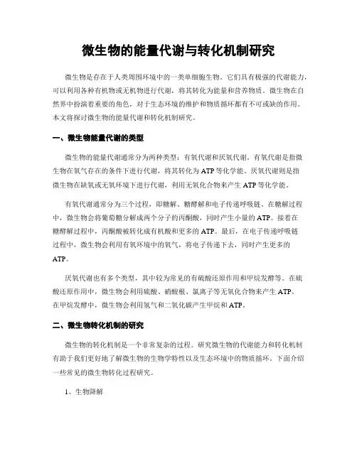 微生物的能量代谢与转化机制研究