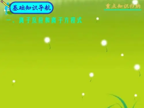 高三化学第一轮复习 《第三讲离子反应》课件