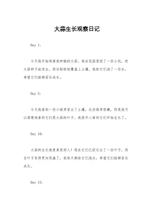 大蒜生长观察日记