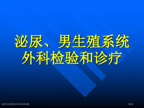 泌尿男生殖系统外科检查和诊断