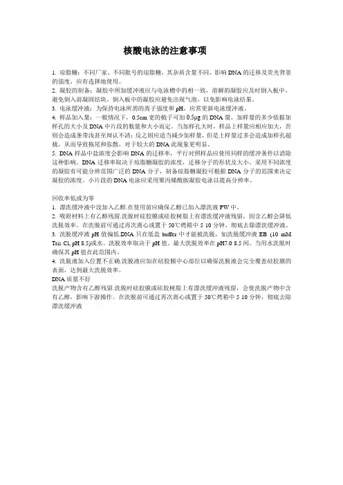 核酸电泳的注意事项