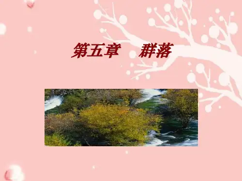 群落PPT精品课件