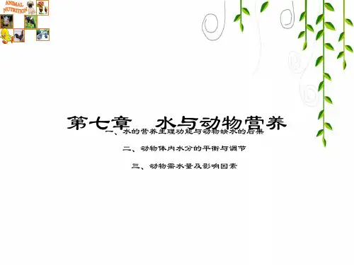 教科版科学三年级上册4_水与动物营养课件