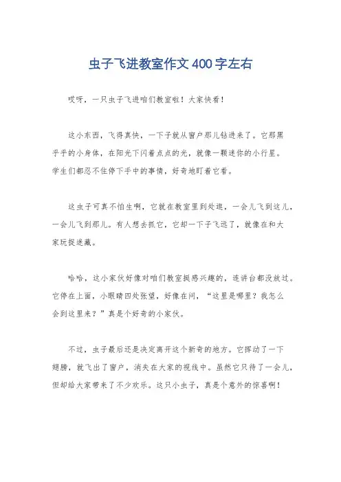 虫子飞进教室作文400字左右