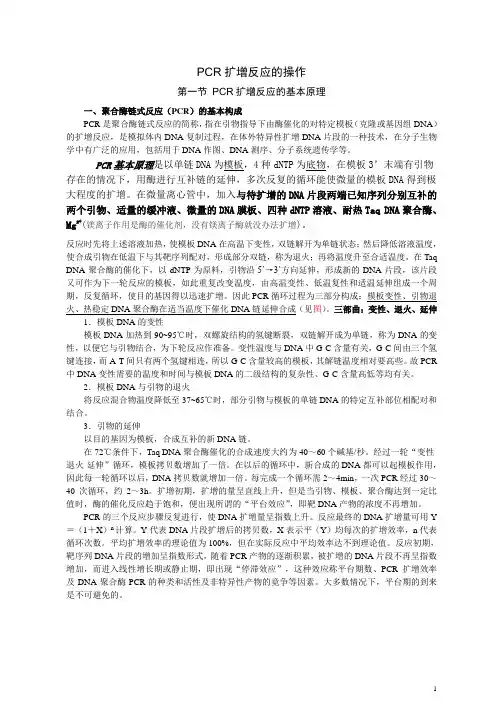 PCR扩增的原理和操作步骤