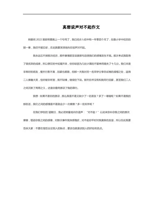 真想说声对不起作文