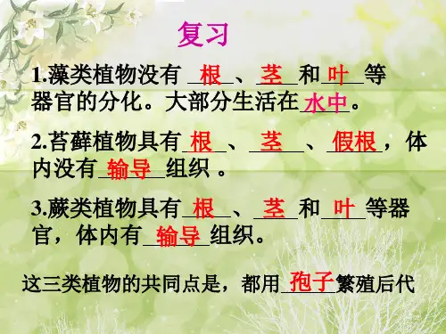 种子植物