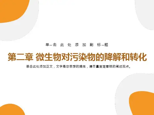 微生物对污染物的降解和转化