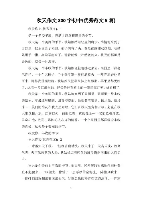 秋天作文800字初中(优秀范文5篇)
