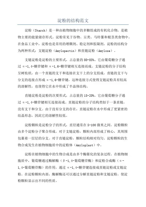 淀粉的结构范文
