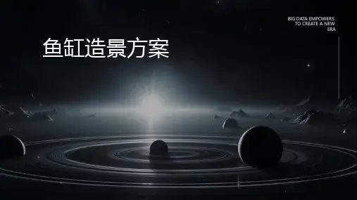 鱼缸造景方案