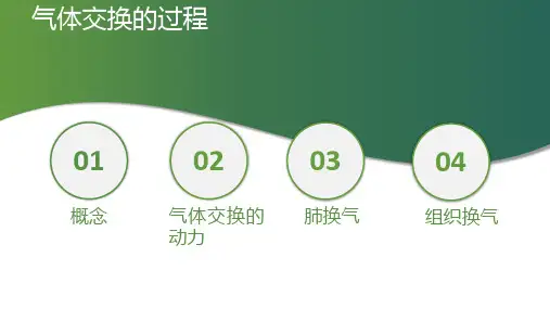 呼吸系统—肺换气与组织换气(正常人体机能课件)