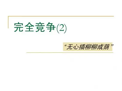 南京大学微观经济学讲义完全竞争二