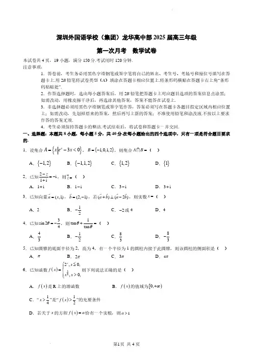 深圳外国语学校(集团)龙华高中部2024-2025学年高三上学期第一次月考数学试卷(含答案)