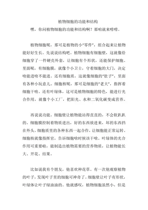 植物细胞的功能和结构