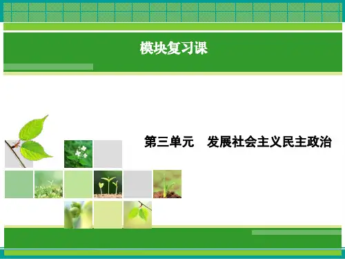 政治(人教版必修2)课件第3单元发展社会主义民主政治