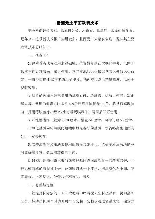 番茄无土平面栽培技术