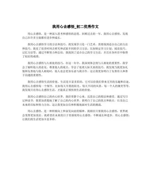 我用心去感悟_初二优秀作文