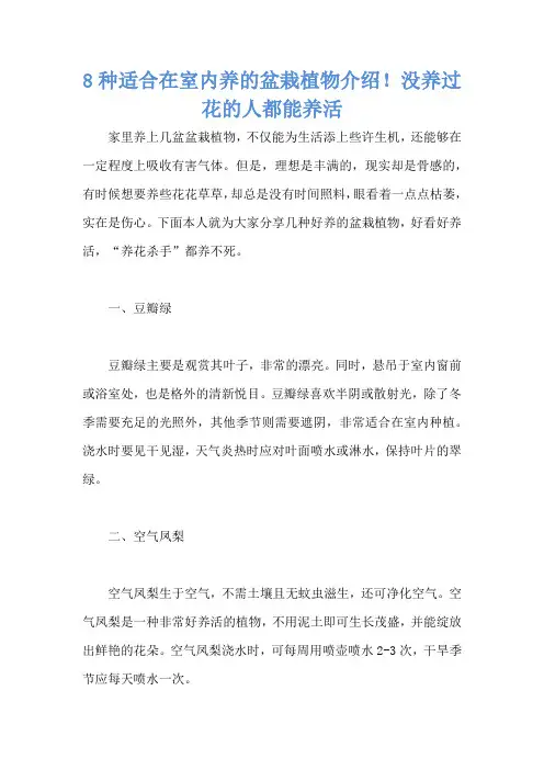8种适合在室内养的盆栽植物介绍!没养过花的人都能养活
