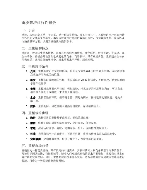 重楼栽培可行性报告
