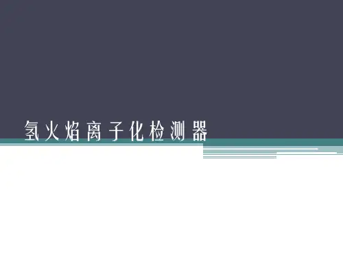 氢火焰离子化检测器