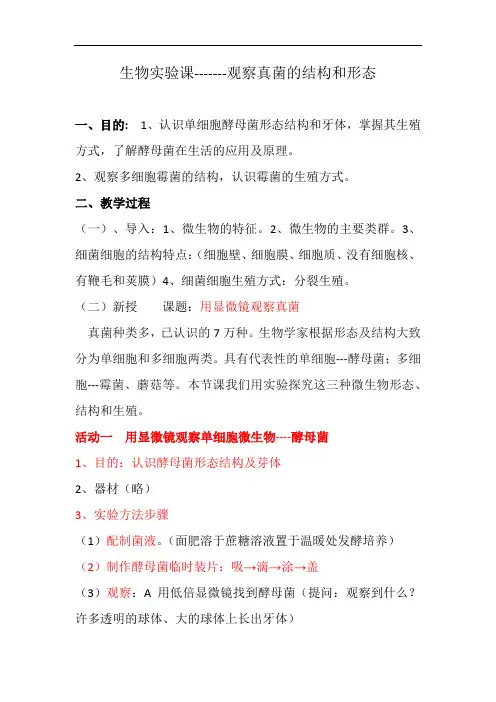 北师大八年级上册生物 实验课《观察真菌的结构和形态》教案