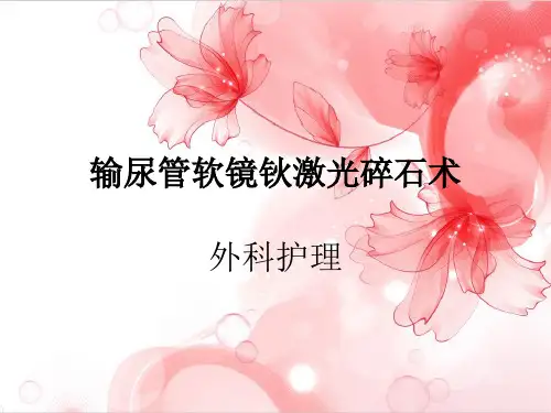 输尿管软镜碎石护理查房