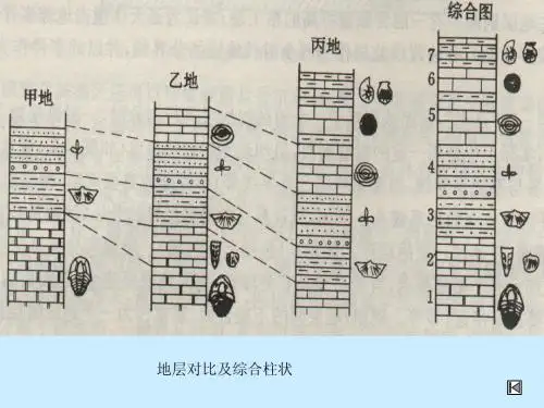 煤矿地质学第三章地层  古生物1-3B